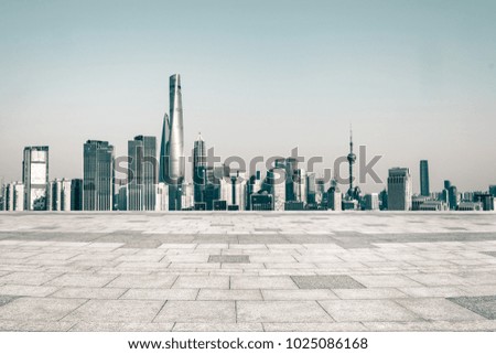 The Shanghai cityscape