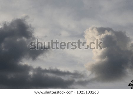 cumulus clouds in the evening sky