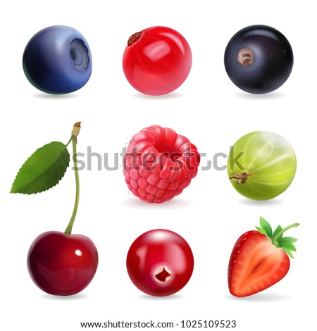Sweet berries, vector illustration realistic set Royalty-Free Stock Photo #1025109523