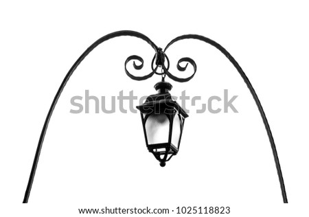 Vintage street electrical lamp in garden , Black and white image.
