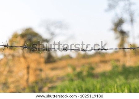 White barbed wire Bokeo background