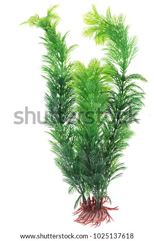 decoration for an aquarium, white isolated background