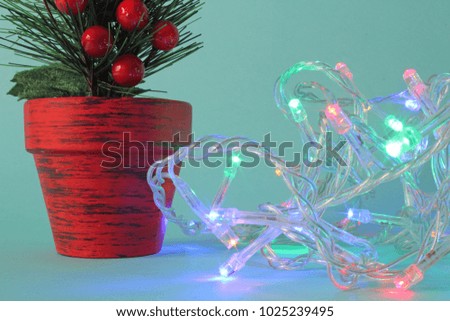 Potted mistletoe with colored lights