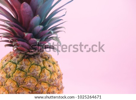 Pineapple with Colorful Leaves on Pink Background