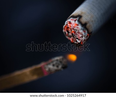 Cigarette Macro Photography