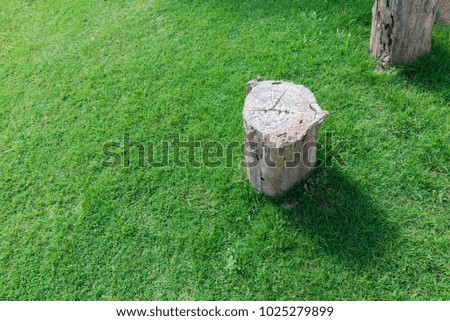 Cut tree on green grass field. Stump background with copy space. Nature and Environment concept. World saving and energy saving theme.
