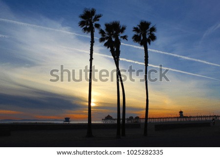 Palms in Los Angeles, California