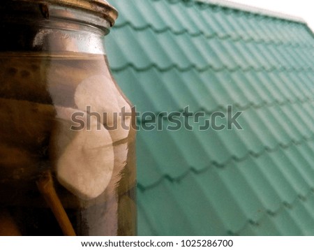 A can of pickled cucumbers on a window on a background of a green roof close-up of a blurred background