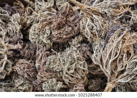 Close up shot of Labisia pumila or the root of Kacip Fatimah. Soft focus effect due to large aperture setting Royalty-Free Stock Photo #1025288407