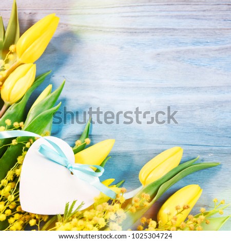 Spring background, fresh tulips on the blue background, Gift card for Mothers Day, 8 March, Easter