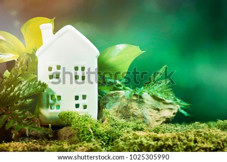 Environment conservation concept, Green spring background