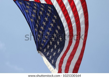 American flags waving in the wind. 