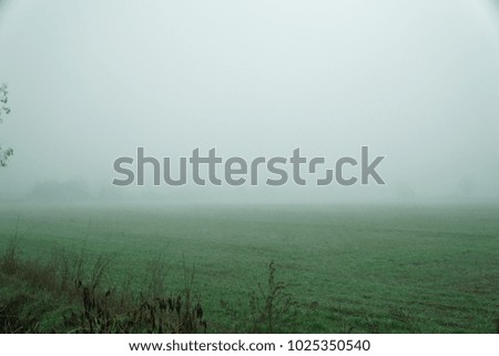 Landscape of dense fog in the field and silhouette of trees in warm winter.