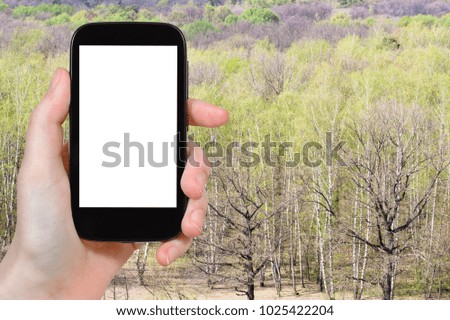 travel concept - tourist photographs green birch and oak trees in forest in Russia in early spring day on smartphone with cut out screen for advertising logo
