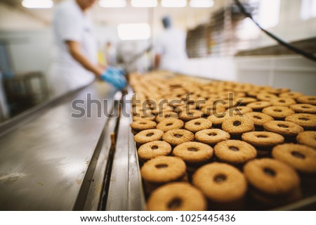 Cookie factory, food industry. Fabrication. Cookie production.