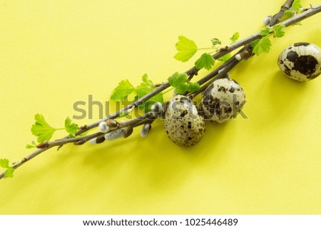 Composition with quail eggs and willow branches. Top view. Easter background. Selective focus.