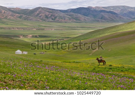View over the Assy Plateau where the nomadic people go in the summer, near the city of Almaty, Kazakhstan.