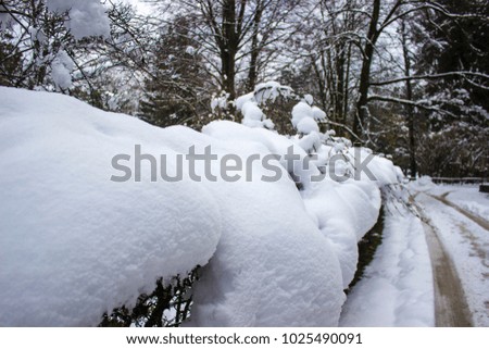 Snow in the forest and road in Slovenija