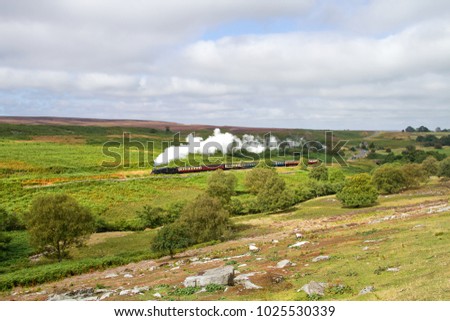 Unexpectedly, a steam train appears across the Yorkshire Moors, making a fine sight across the green and lush landscape.