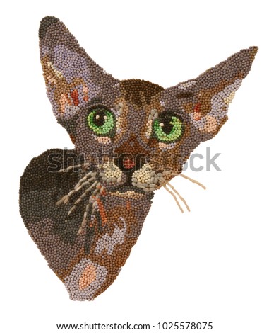 Cat made from rice and buckwheat isolated on white background