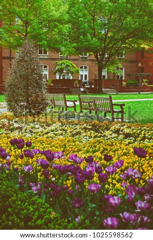 Beautiful and bright flowerbed pictured on the territory of the George Washington University campus in Washington D.C., USA. The university was established on February 9, 1821. Toned