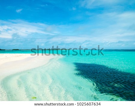 Tropical white beach in Los Roques archipelago (Venezuela).