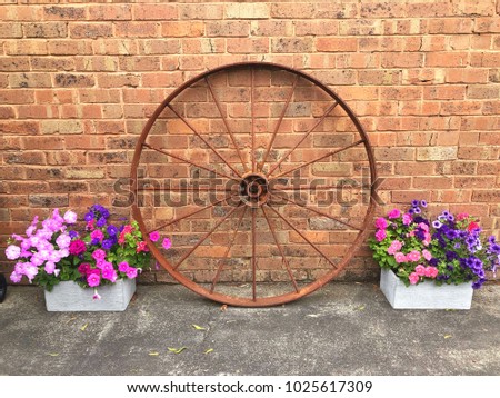 Old wagon wheel and concrete planters with a mix of colourful petunia flowers against a brick wall