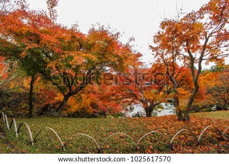Sankeien Japanese Garden Park in autumn with maple leaves at Hiroshima, Japan