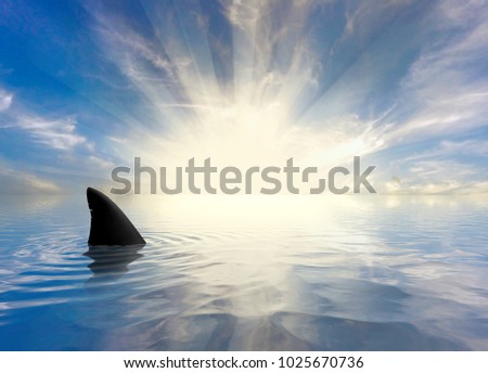 Shark Infested Waters Royalty-Free Stock Photo #1025670736