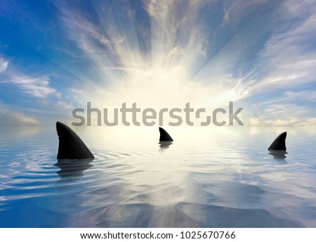 Shark Infested Waters Royalty-Free Stock Photo #1025670766