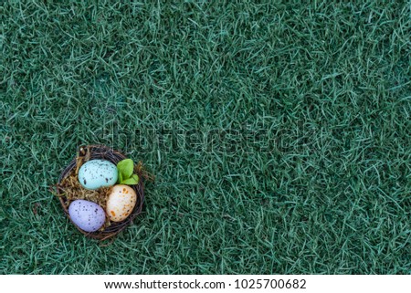 Eggs inside a nest bottom left with grass background