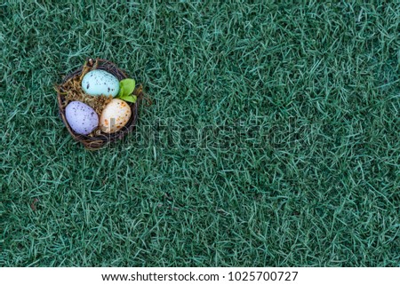 Eggs inside a nest top left with grass background