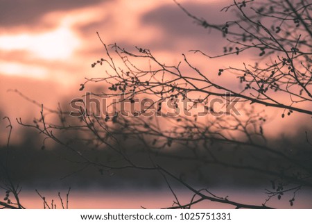 colorful winter sunset on frozen river ice with tree silhouettes and blur background - vintage retro effect