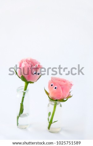 two roses flowers with google eyes in mini bottles on white background. flowers look at each other. Romantic relations, friendship, love concept. Friendly Faces. creative idea design