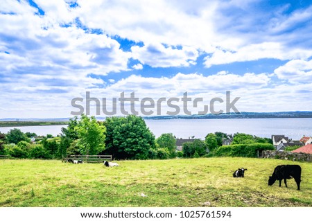 View on Ladndscape with cows in the Highlands of Scotland