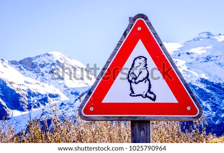groundhog warning sign at the alps