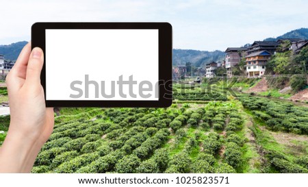 travel concept - tourist photographs green tea plantation in Chengyang village of Sanjiang Dong Autonomous County in China in spring on tablet with cut out screen for advertising