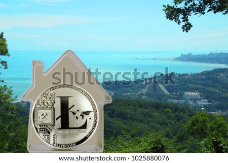 Litecoin coin in a metal house on a sea cost background. Rent or buy a house for LTC.