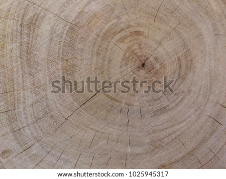 Brown old wood background,ring circle brown and yellow