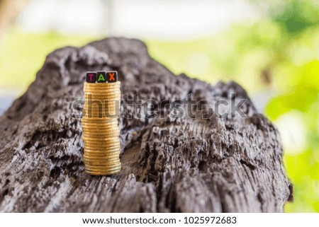 Stacked coins on the logs with TAX word block for TAX and Finance concept.