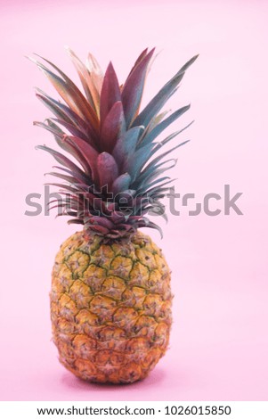 Pineapple with Colorful Leaves on Pink Background