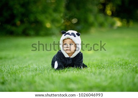 Cute baby boy wearing a Panda bear suit sitting in green grass at park. copy space