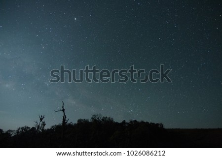 Star milky way over forest tree at long exposure photograph.with grain