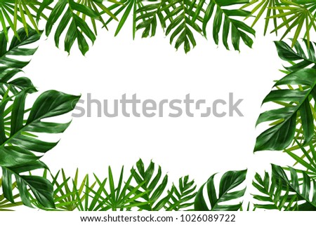 Group of green leaf frame on white