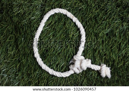 Rope alphabet on grass. Letter Q