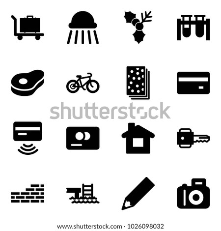 Solid vector icon set - baggage vector, shower, holly, vial, meat, bike, breads, credit card, tap pay, home, key, brick wall, pool, pencil, camera