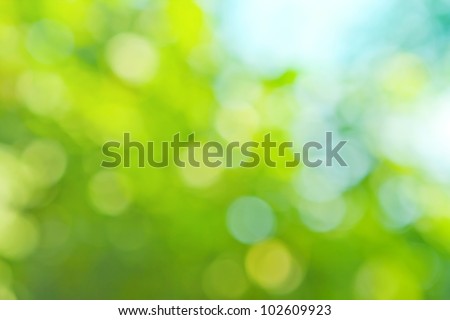 colorful background in green colors, the bokeh effect