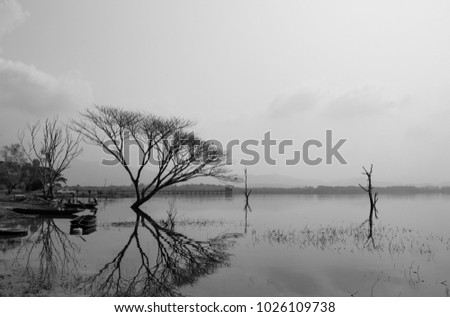 Water reflections , black and white photograph ,water and sky