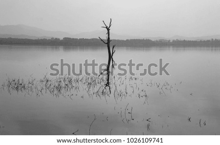 Water reflections , black and white photograph ,water and sky