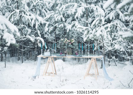 winter decor in a forest in the open air